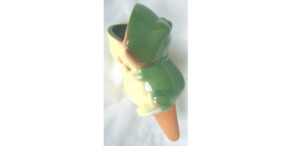 frog